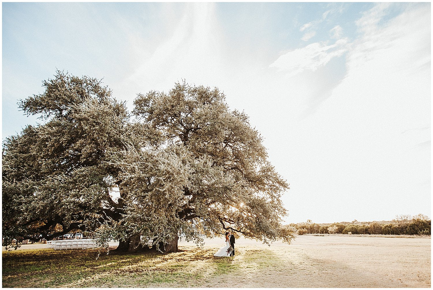 A bride and groom posing in front of a tree