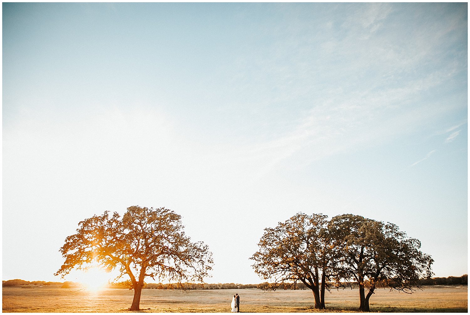 A wide-angle image of a bride and groom posing in between two huge trees during the golden hour