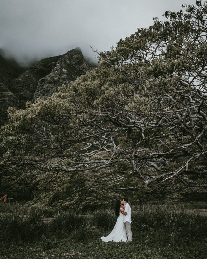 A bride and groom kissing under a tree