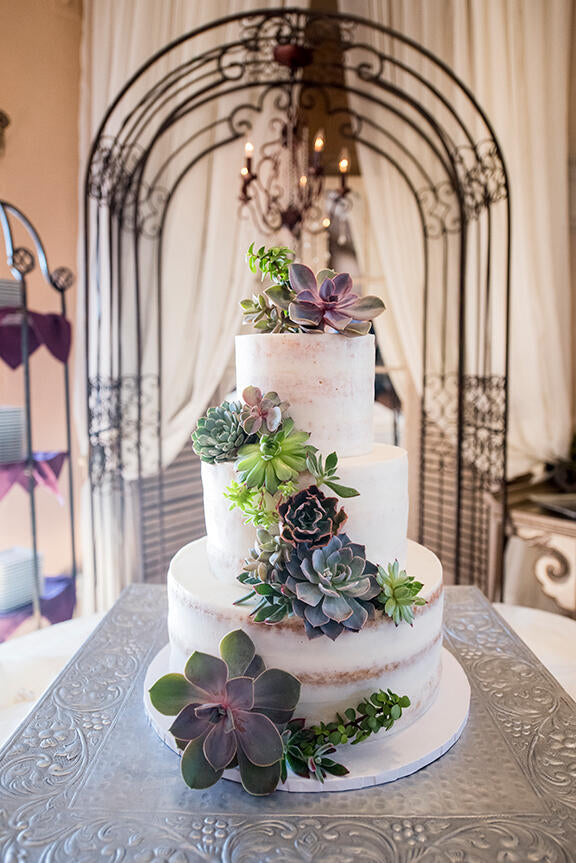 naked wedding cake with succulents