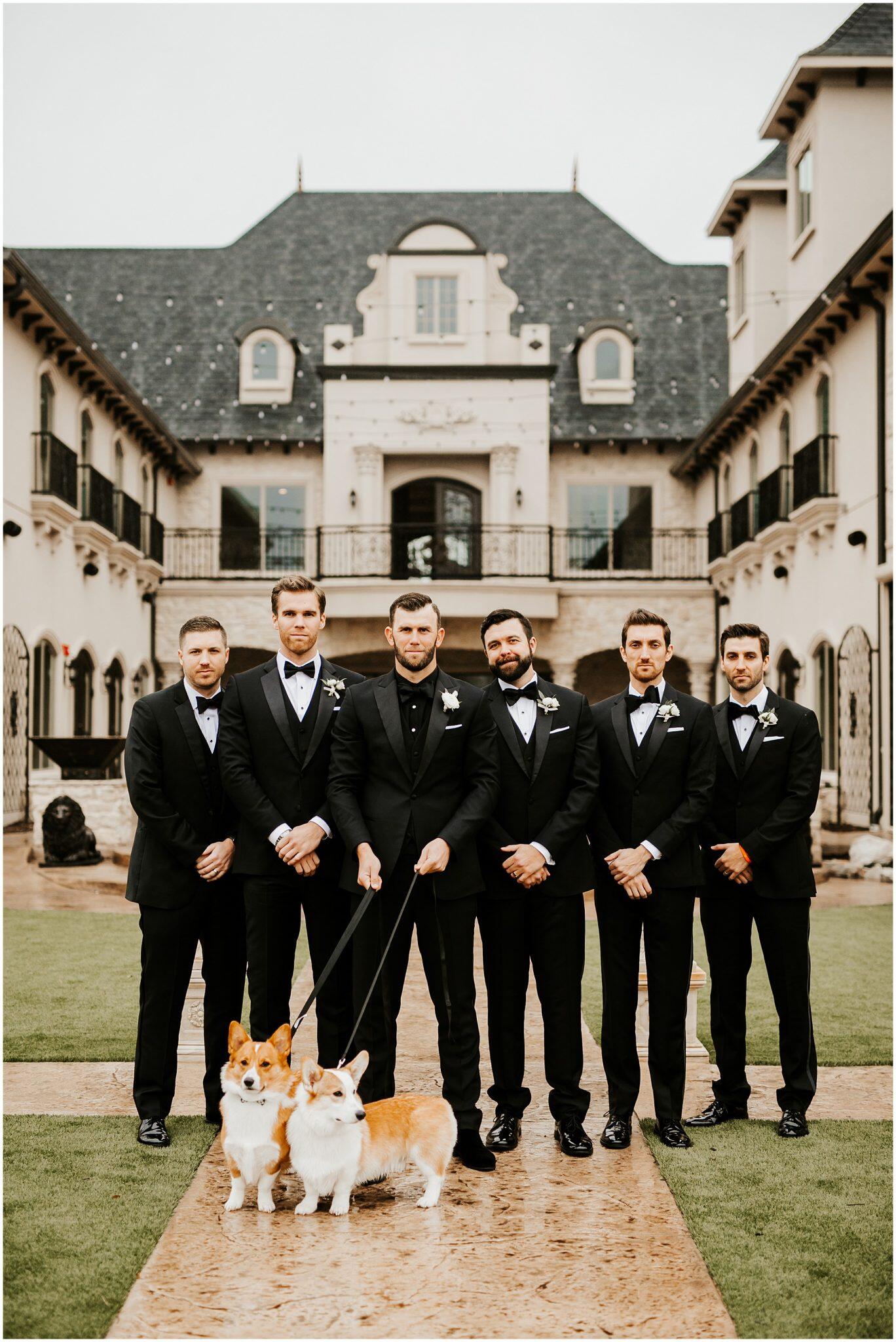 groomsmen standing with yorkies