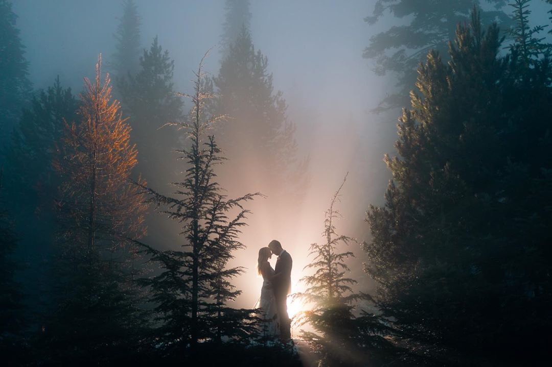 Bride and groom posing in front of a light source for a silhouette photograph in a setting surrounded by trees