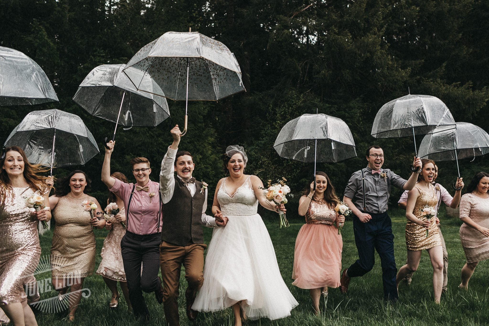 A bride and groom along with the bridesmaids and groomsmen posing with umbrellas