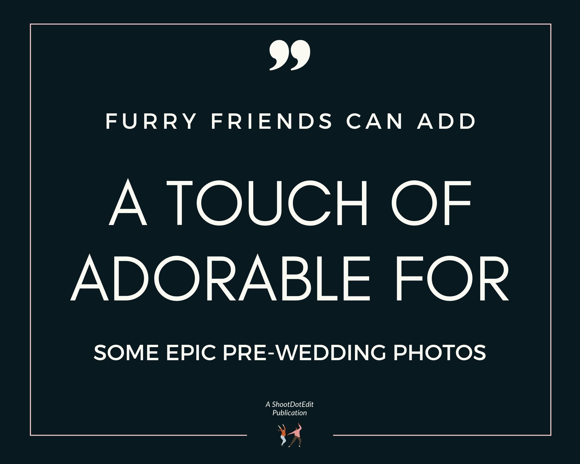 Infographic stating furry friends can add a touch of adorable for some epic pre-wedding photos