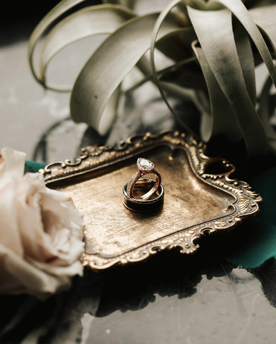 a wedding ring portrait taken by Brandi Allyse