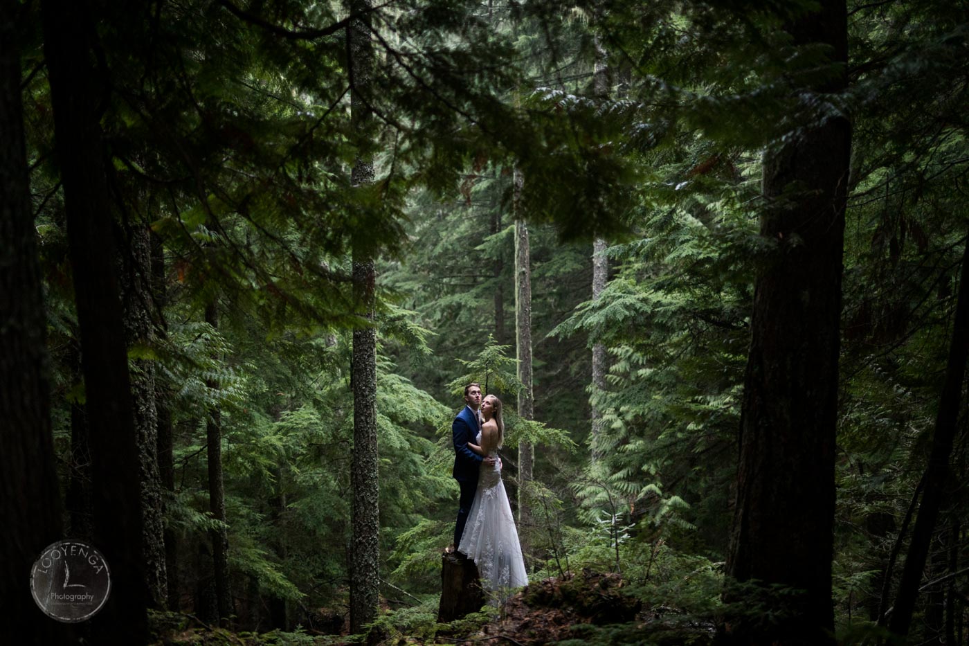 A bride and groom holding each other for a pose amidst a forest