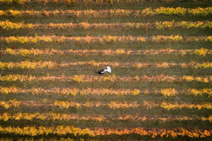 A bird eye’s view of a couple lying in their wedding dresses on a farm