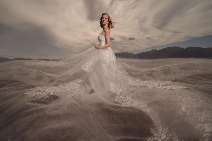 A bridal portrait of the side of the bride and her head turned toward the camera, with her dress train flowing all around her, taking up the majority of the bottom half of the wedding photo.