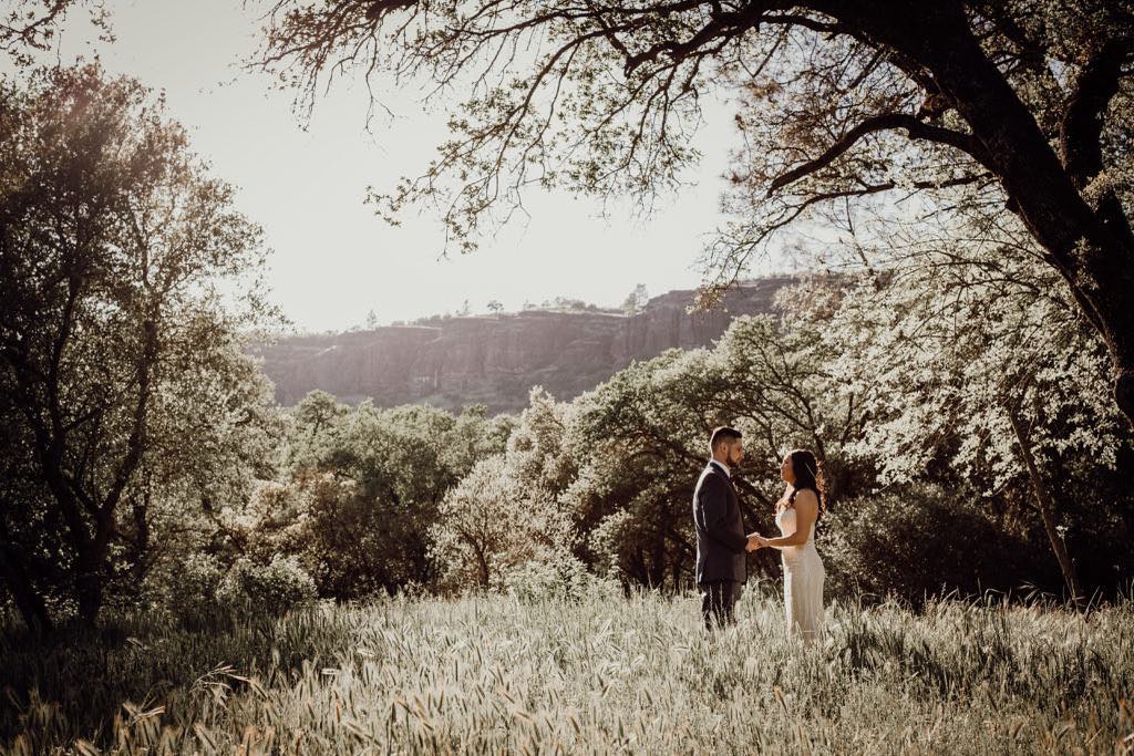 A bride and groom standing while holding their hands under a tree