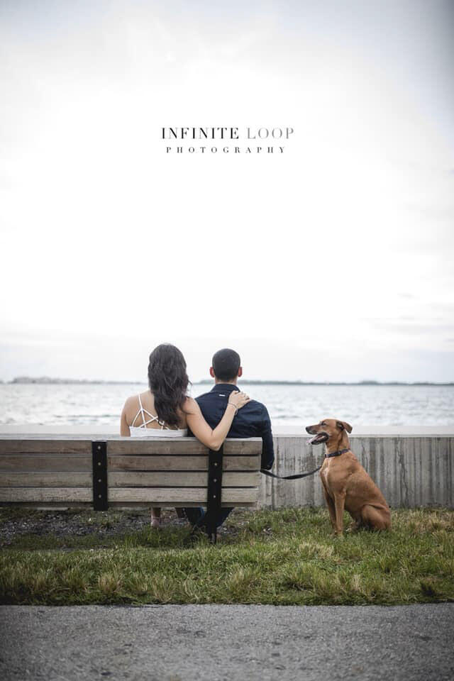 a couple sitting on a bench looking at the sea with their pet dog