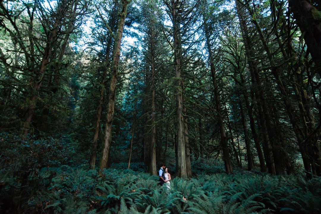 Couples posing in the middle of a forest