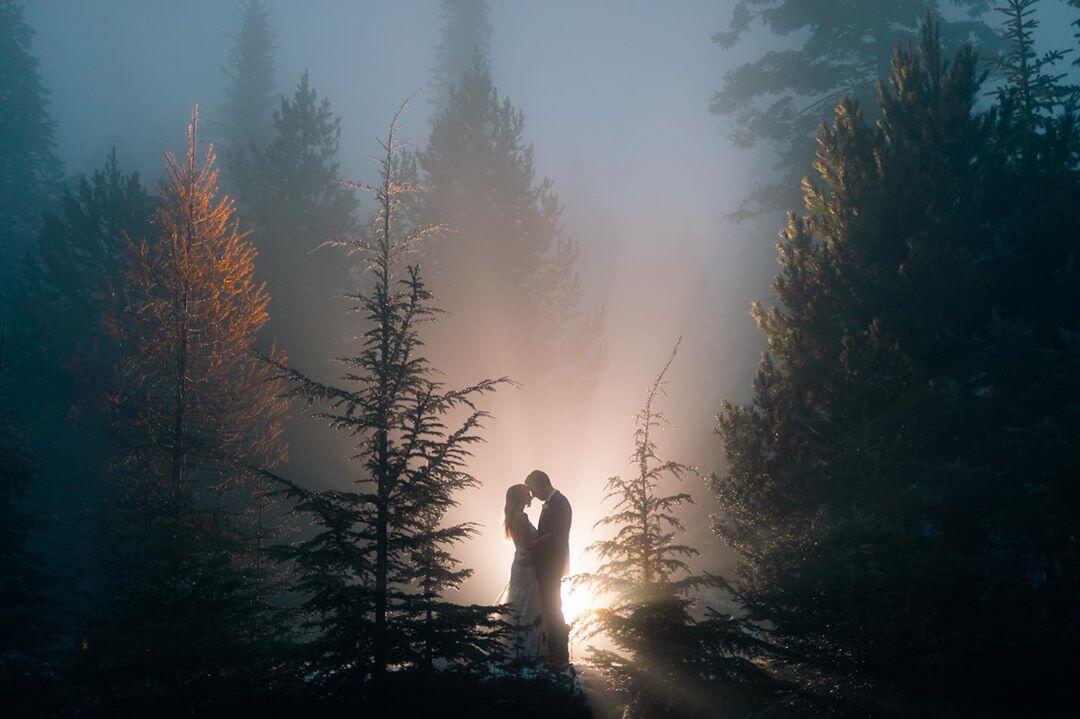 a wedding couple in a misty forest in front of a backlight