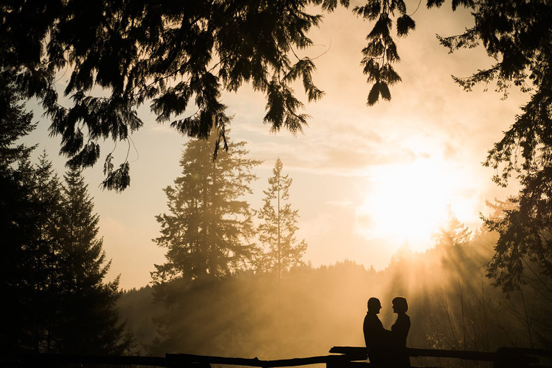 Silhouette of a couple surrounded by trees and the sun shining down on them