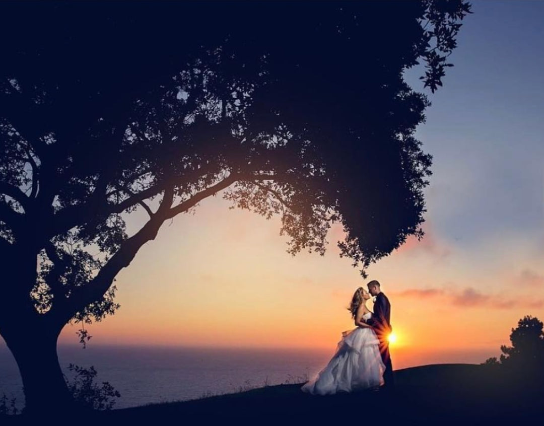 A bride and groom posing by the side of a tree during sunset