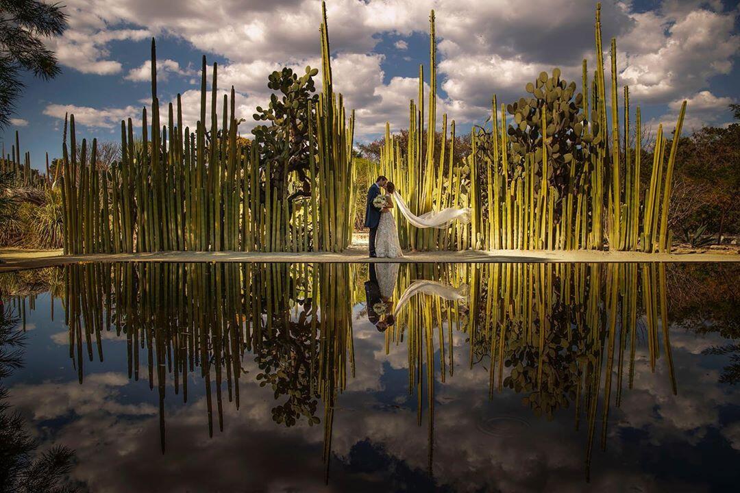 A wedding photo by cacti shot by Jorge Santiago Photography and photo editing by ShootDotEdit