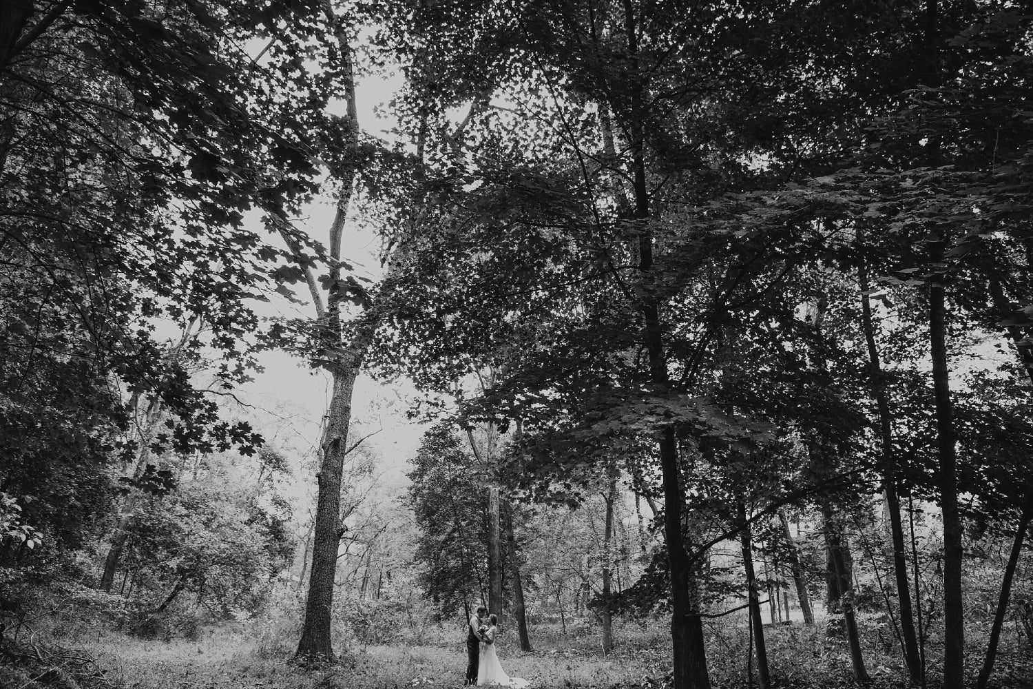 a monochrome image of a bride and groom posing in a forest