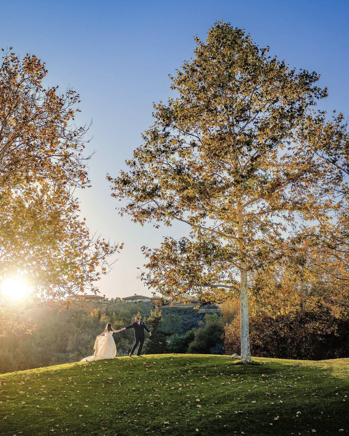 a couple holding hands and walking in between two trees at sunset