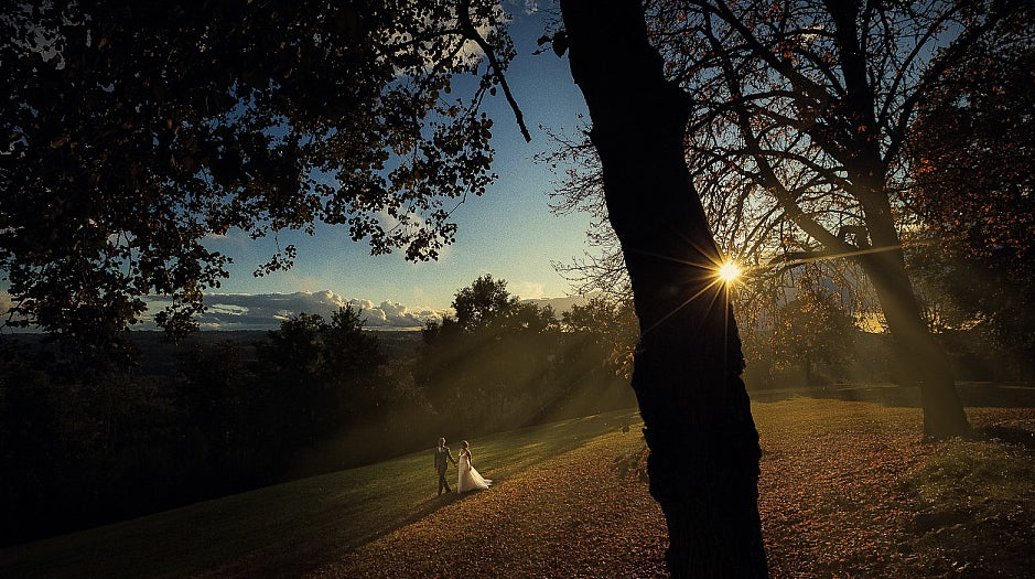 Wide angle shot of a bride and groom walking as a lens flare peaks from the side of a tree branch