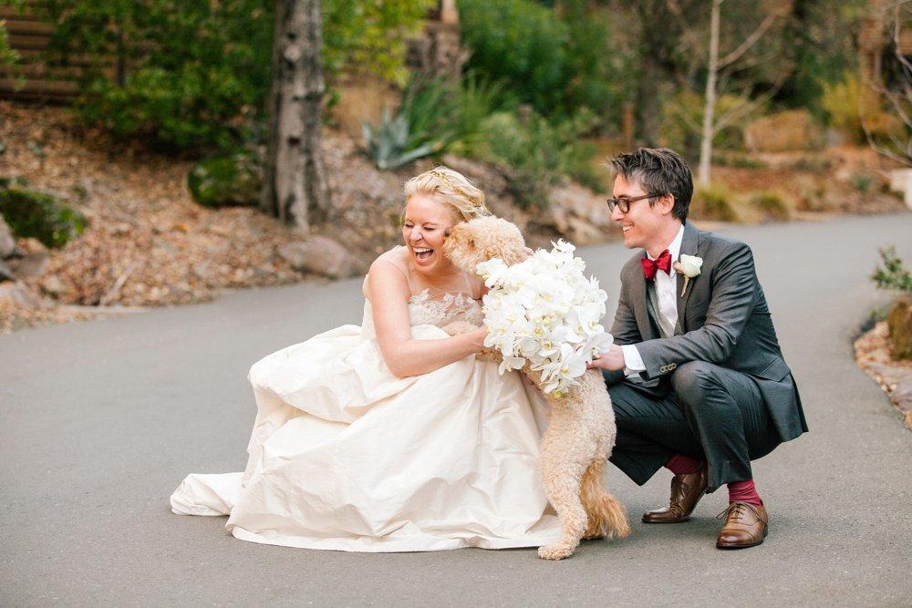 Bride and groom posing with their pet dog - An image on ShootDotEdit wedding vendor feature