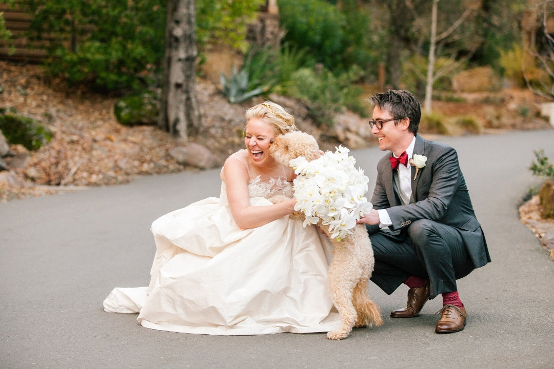 Bride and groom posing with their pet dog as the dog kisses the bride 