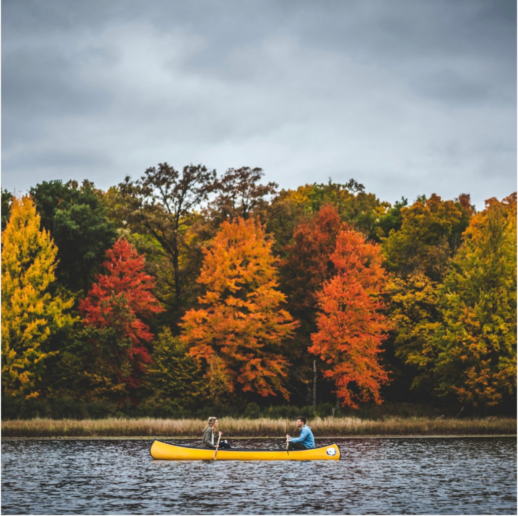 a couple rowing a canoe in a lake surrounded by lush greenery