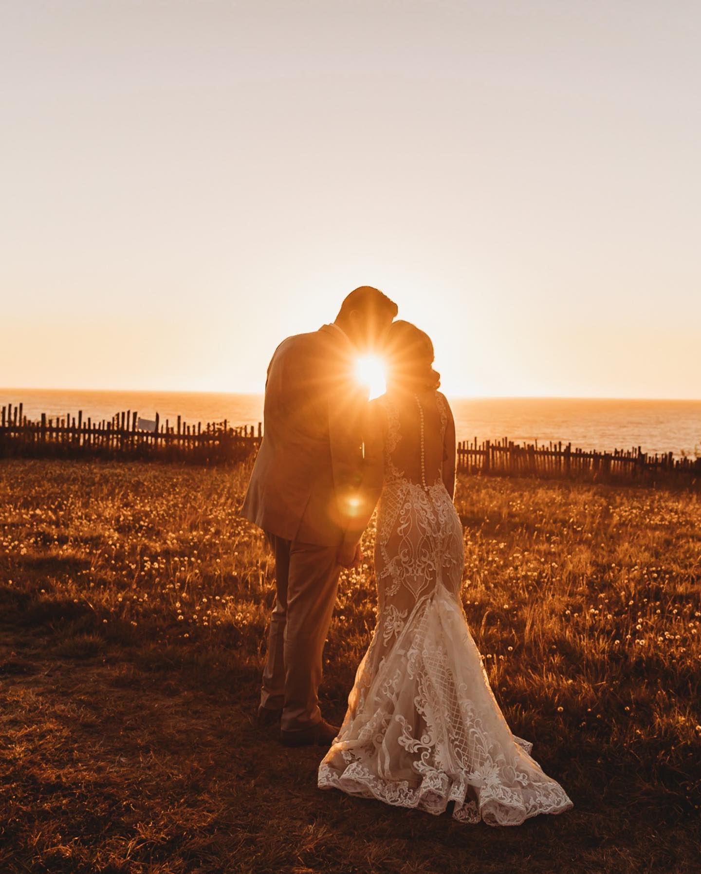 a wedding couple kissing while the sun is shining from in between them