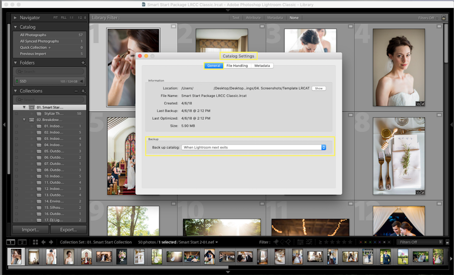 lightroom options backup catalog