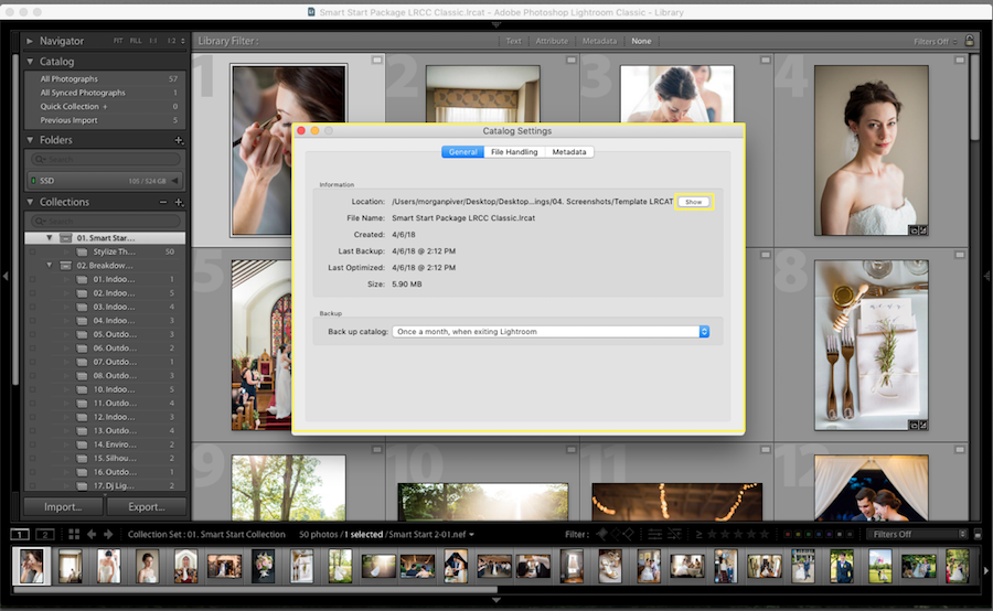 show lightroom catalog settings