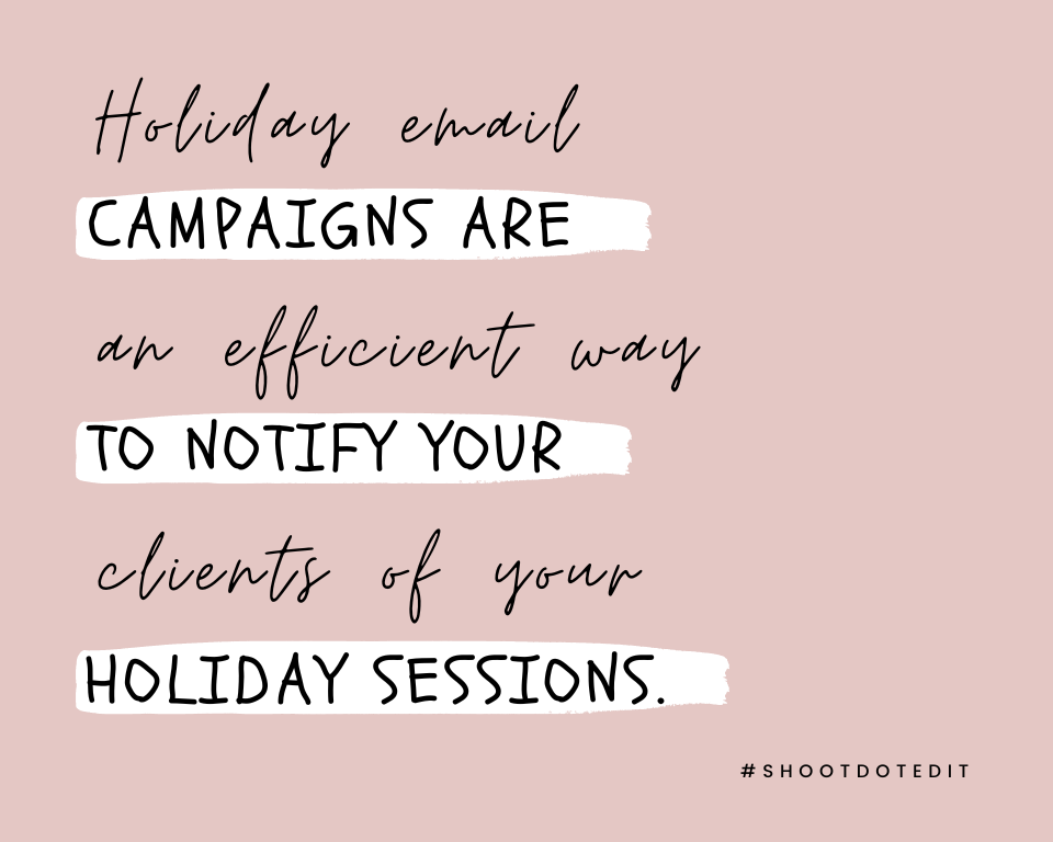 infographic stating holiday email campaigns are an efficient way to notify your clients of your holiday sessions