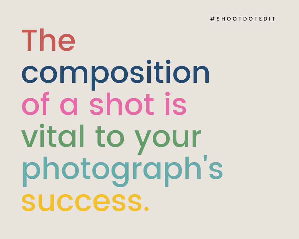 infographic stating the composition of a shot is vital to your photograph's success