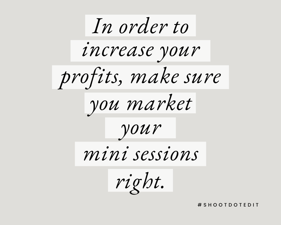 infographic stating in order to increase your profits, make sure you market your mini sessions right