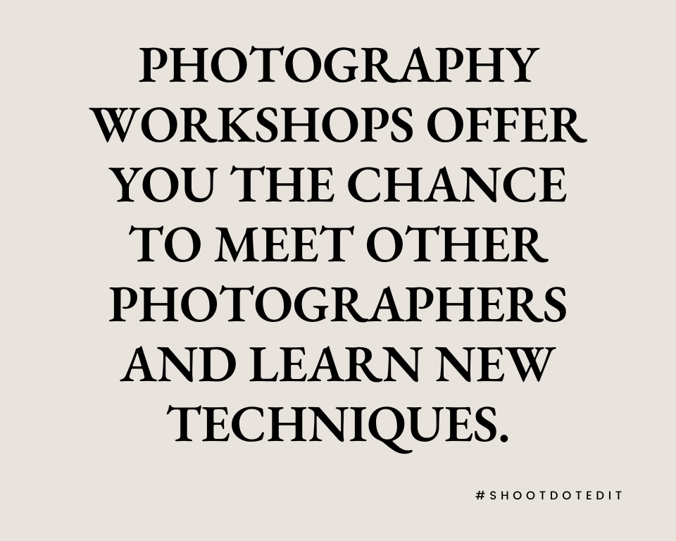 infographic stating photography workshops offer you the chance to meet other photographers and learn new techniques