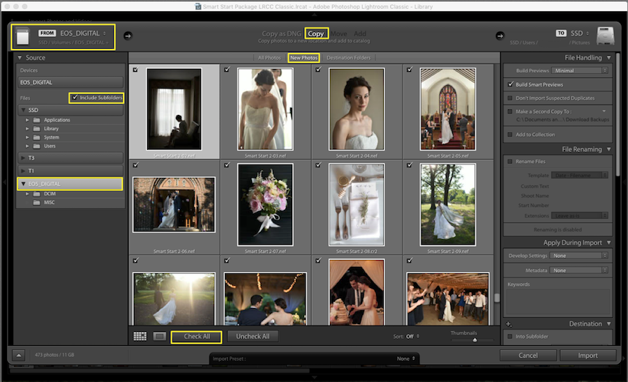 importing raw files into lightroom