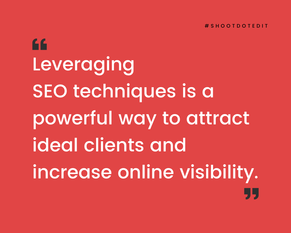 infographic stating leveraging SEO techniques is a powerful way to attract ideal clients and increase online visibility