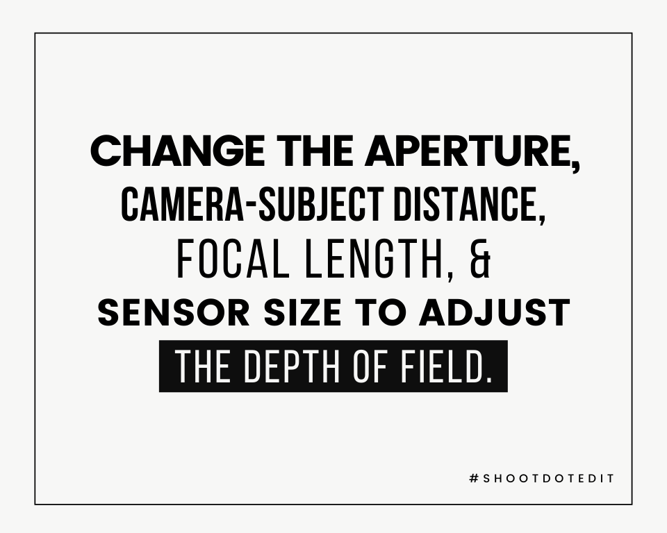 Infographic stating change the aperture, camera-subject distance, focal length, & sensor size to adjust the depth of field