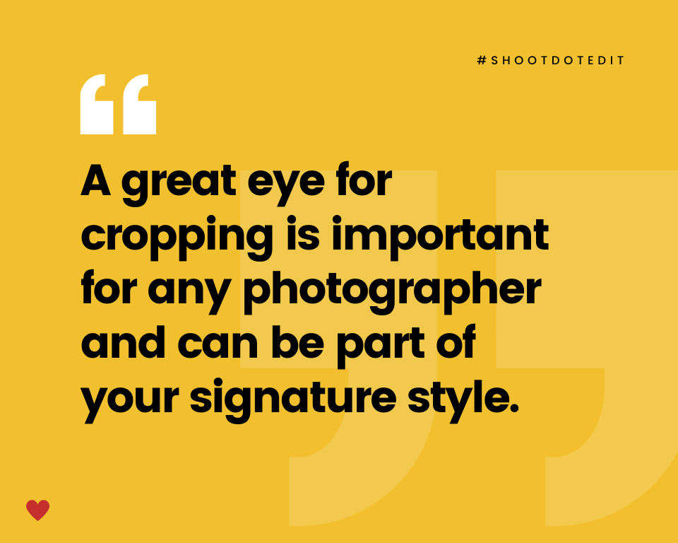 infographic stating a great eye for cropping is important for any photographer and can be part of your signature style