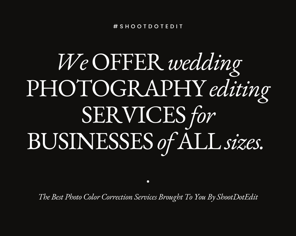 infographic stating we offer wedding photography editing service plans for businesses of all sizes