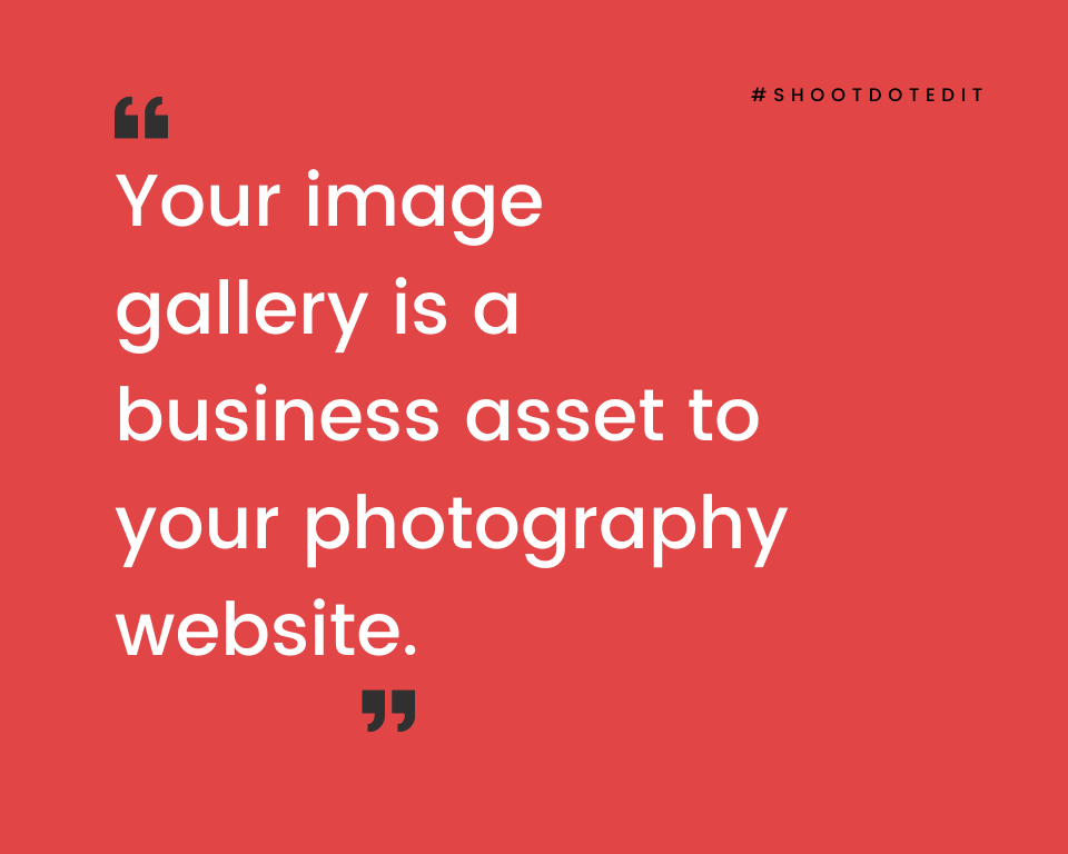 infographic stating your image gallery is a business asset to your photography website