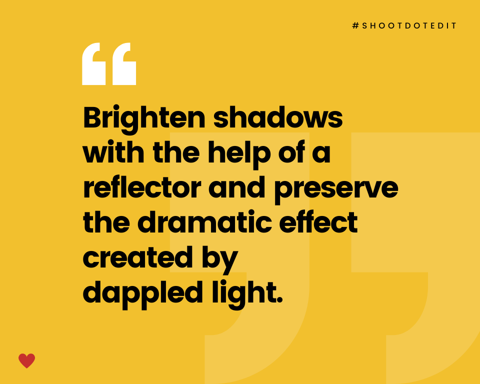 infographic stating brighten shadows with the help of a reflector and preserve the dramatic effect created by dappled light