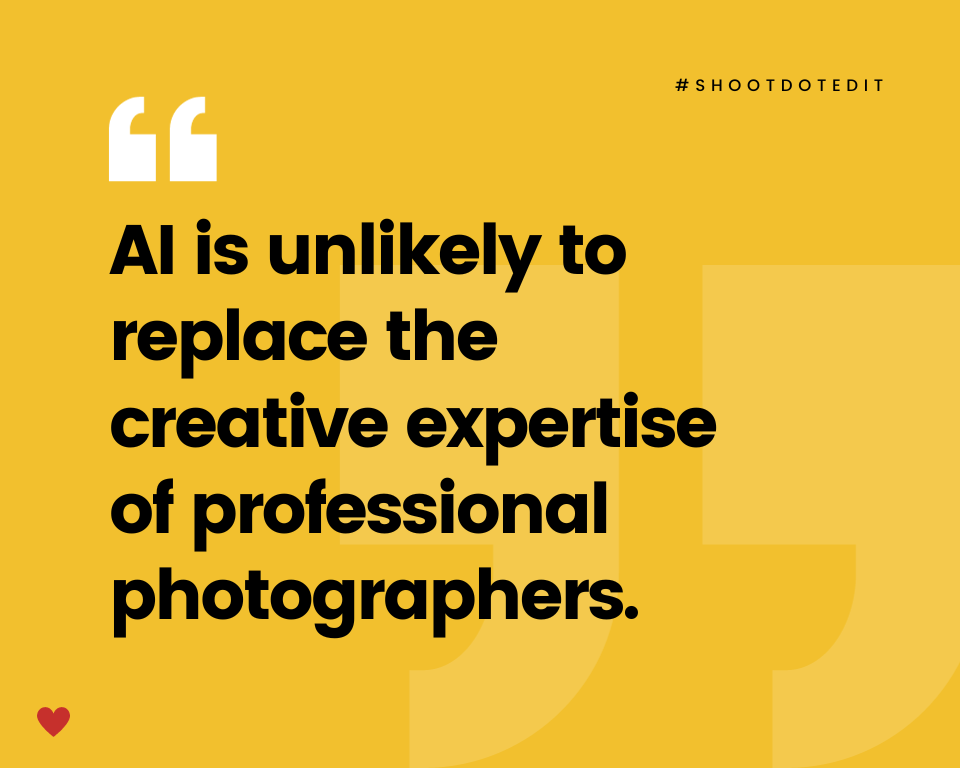 infographic stating AI is unlikely to replace the creative expertise of professional photographers